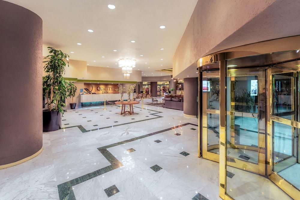 La Joya Pachuca Hotel Eksteriør billede Lobby