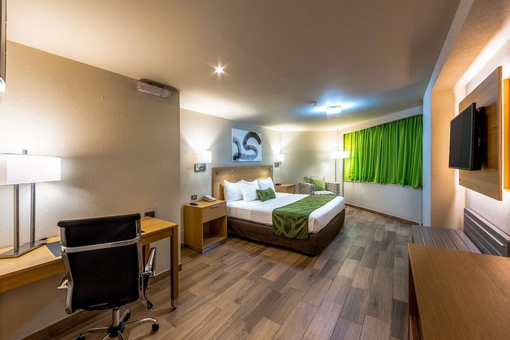 La Joya Pachuca Hotel Eksteriør billede A typical hotel room